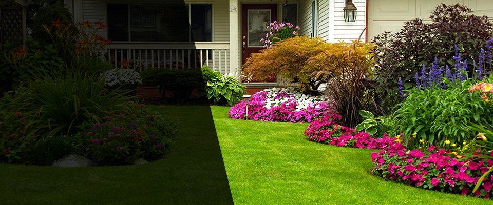 Corryton Landscapers