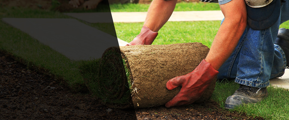 Corryton Landscapers